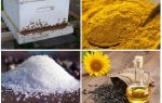 Как избавиться от муравьев на пасеке народными средствами
