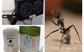 Эффективные ультразвуковые отпугиватели муравьев