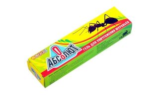 Абсолют от муравьев