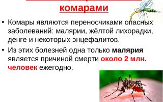 Какие болезни переносят комары